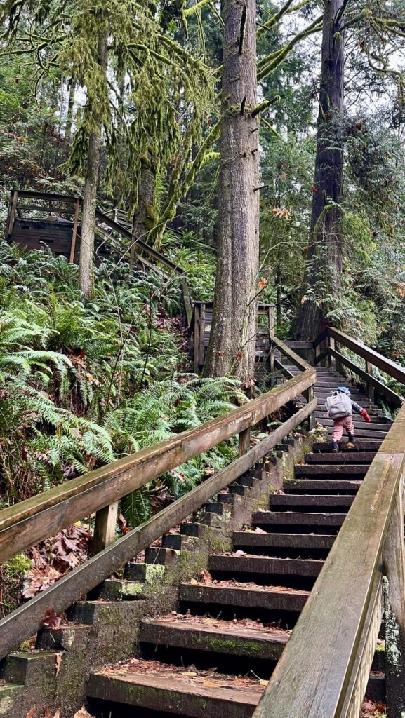 hiking in the forest